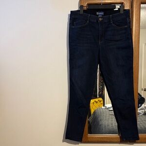 Democracy Deep Indigo stretch skinny Jeans size 14 never worn like new